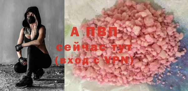 стаф Арсеньев