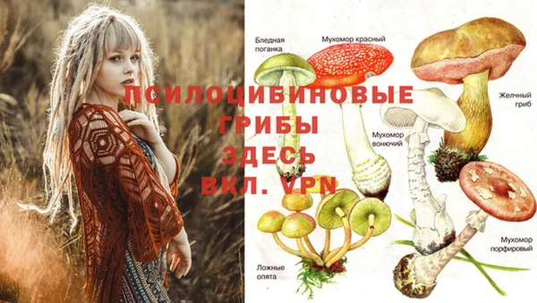 экстази Аркадак