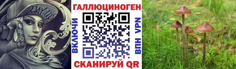 Купить закладки Сусуман Галлюциногенные грибы ЛСД